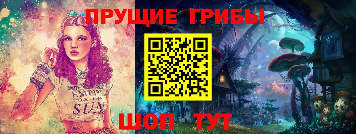 Псилоцибиновые грибы Cubensis  Галлюциногенные грибы Cubensis  Вход с VPN  Шелехов 