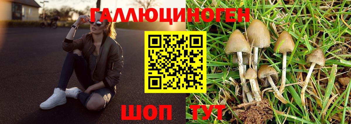 Шелехов  Метадон  Меф   КОКАИН  МЕТАМФЕТАМИН  Гашиш  Вход с VPN  Бошки Шишки  Марихуана  НБОМе 